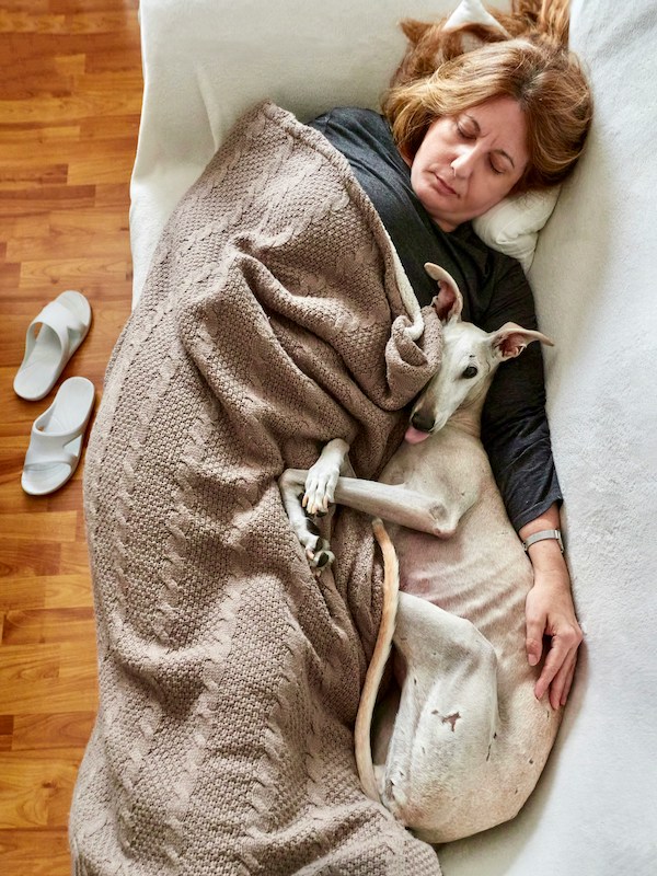 Женщина спит с собакой на диване