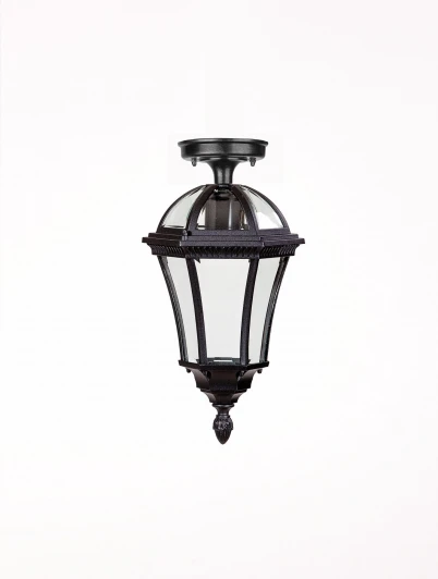 95205SA Bl Потолочный светильник уличный Oasis Light ROMA S 95205SA Bl