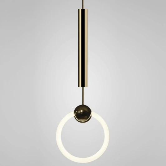 40.1896 Подвесной светильник Lee Broom Ring Light Imperiumloft 40,1896 (144279-22)