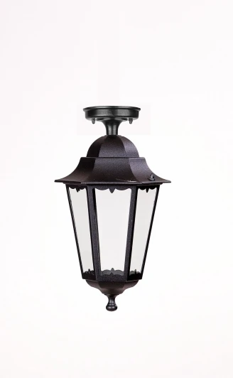 79805MA Bl Потолочный светильник уличный Oasis Light PETERSBURG M 79805MA Bl