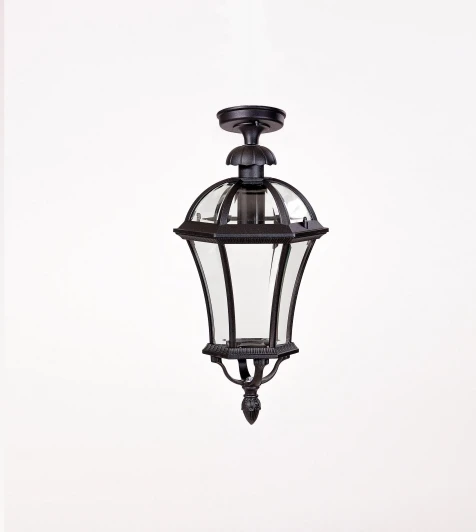 95205LA Bl Потолочный светильник уличный Oasis Light ROMA L 95205LA Bl