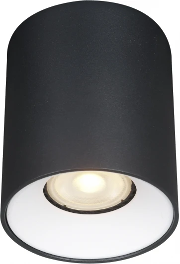 ST167.452.01 Светильник потолочный ST Luce ST167.452.01 Черный GU10 1*50W 220V