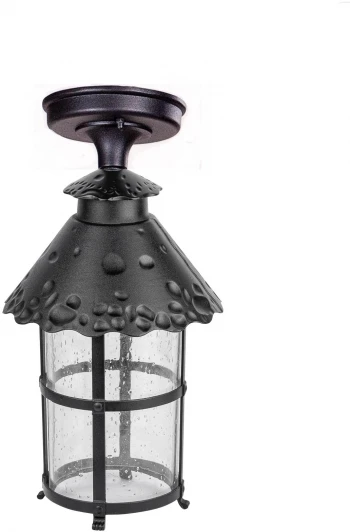 81505A Bl Потолочный светильник уличный Oasis Light CAIOR 1 81505A Bl