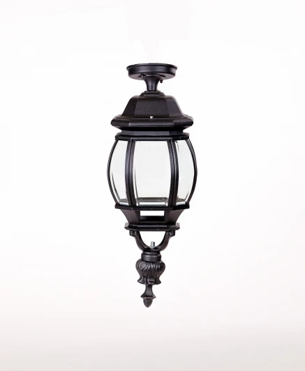 83405LA Bl Потолочный светильник уличный Oasis Light AMERICA L 83405LA Bl