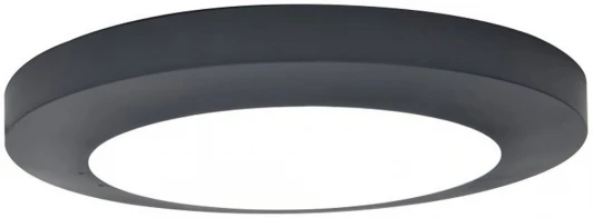 W3922 Gr Потолочный светильник уличный светодиодный Oasis Light SIDNEY LED W3922 Gr