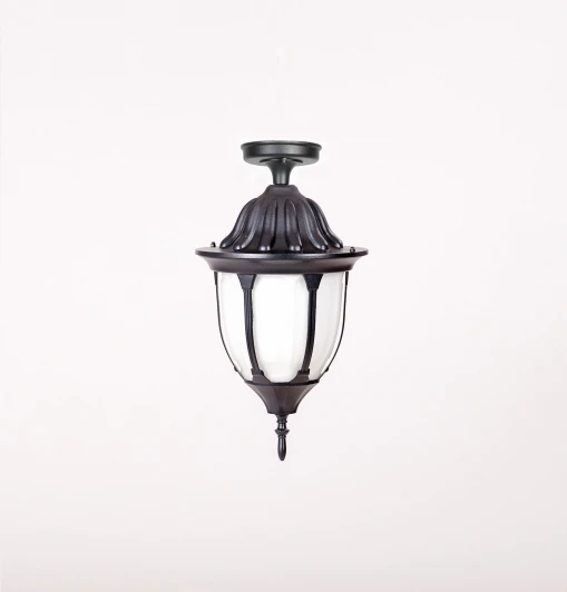 92105A Bl Потолочный светильник уличный Oasis Light GENUYA 92105A Bl