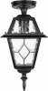 91105A Bl Потолочный светильник уличный Oasis Light FARO 91105A Bl