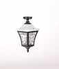 91805LA Bl Потолочный светильник уличный Oasis Light VENECIA 2L 91805LA Bl