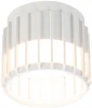 A8031PL-1WH Потолочный светильник Arte Lamp Atria A8031PL-1WH