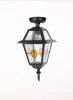 91105A lgY Bl Потолочный светильник уличный Oasis Light FARO lead GLASS 91105A lgY Bl