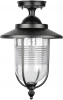 84705A Bl Потолочный светильник уличный Oasis Light TITAN 84705A Bl