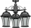 91370LA/3 Bl Потолочный светильник уличный Oasis Light ASTORIA 1 L 91370LA/3 Bl