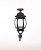 83405LA Bl Потолочный светильник уличный Oasis Light AMERICA L 83405LA Bl