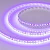 043384 Светодиодная лента RT-A120-8mm 24V Violet (9.6 W/m, IP20, 2835, 5m) (Arlight, -) 043384