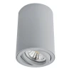 A1560PL-1GY Накладной точечный светильник Arte Lamp Sentry A1560PL-1GY